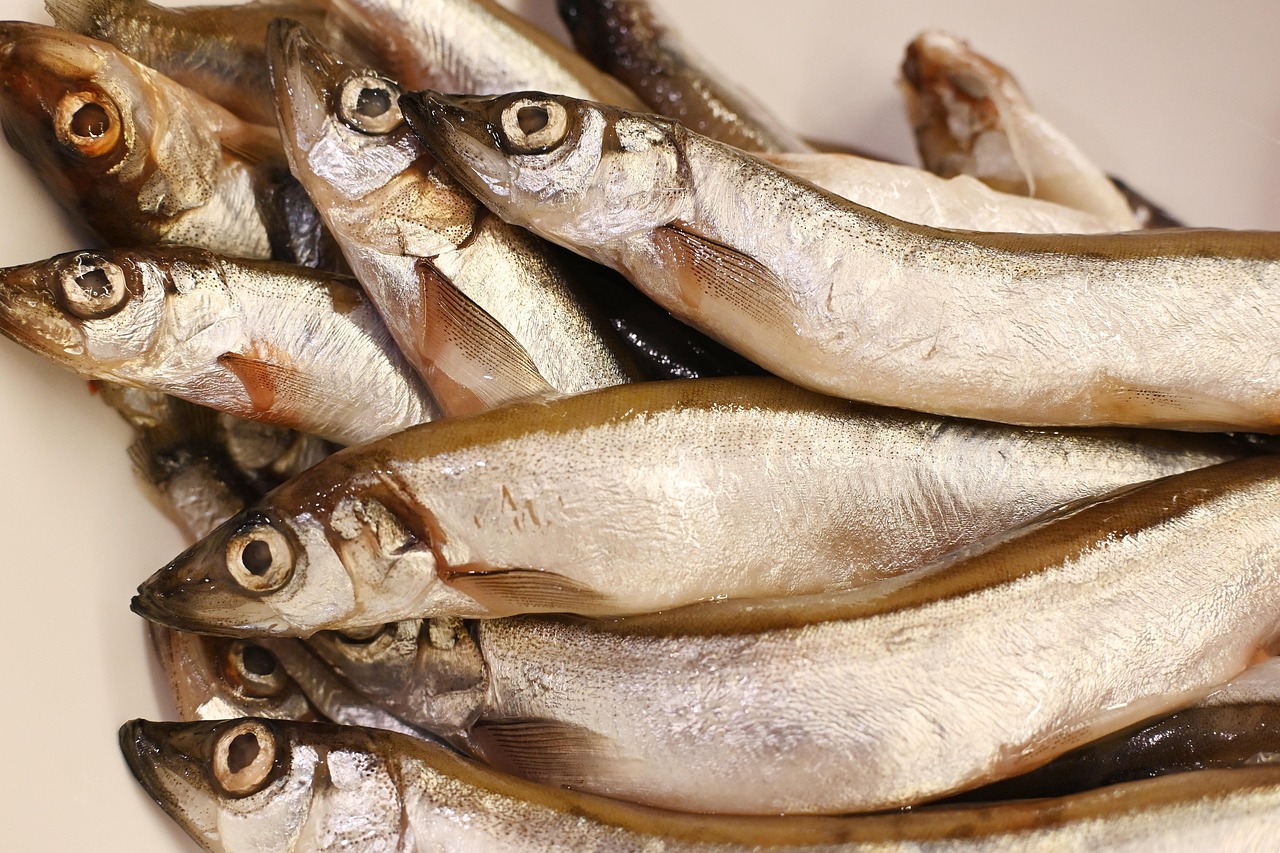 Les secrets de la cuisson basse température pour des plats savoureux et moelleux découvrez les bienfaits de la cuisson à basse température pour des plats savoureux et tendres, tout en conservant les nutriments essentiels.