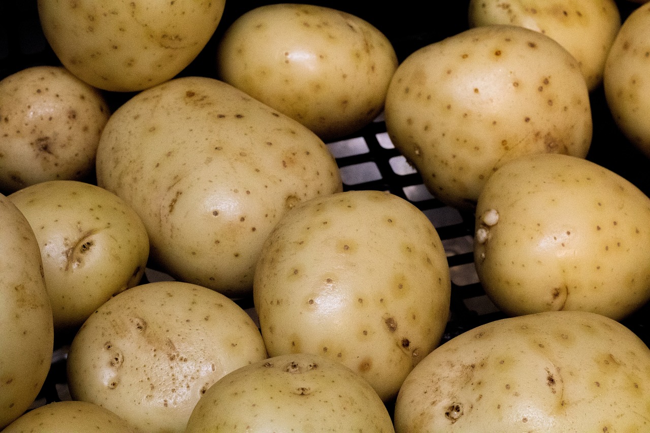 Comment utiliser les restes de cuisine pour éviter le gaspillage alimentaire découvrez des conseils pratiques et des solutions pour réduire le gaspillage alimentaire et adopter une consommation responsable au quotidien.