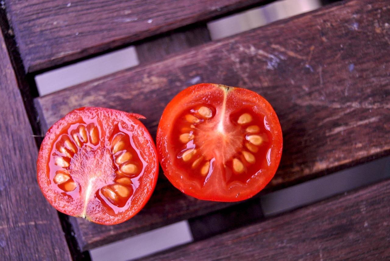 Quelles sont les meilleures recettes d’été pour profiter des tomates du jardin?